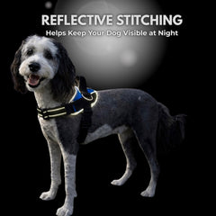 SHAWNCO Essential Dog Harness shown being worn by a dog.