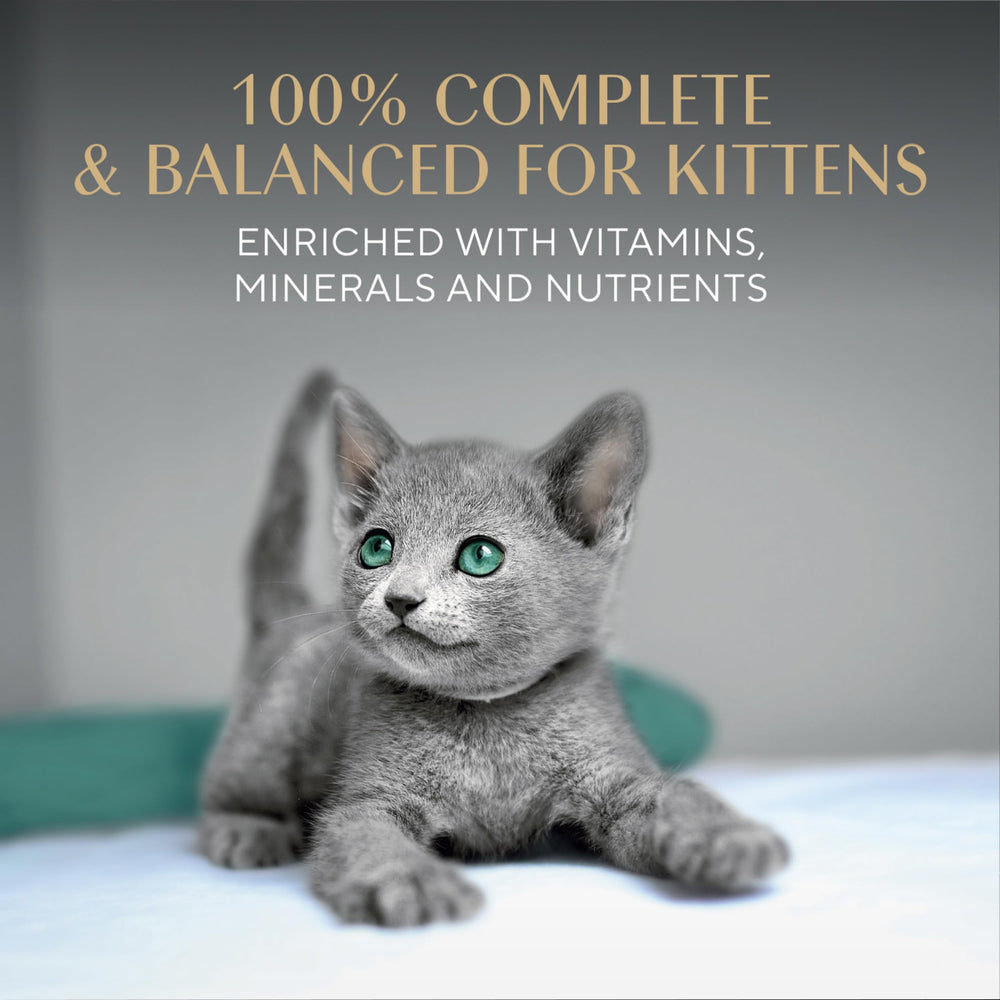 Sheba Perfect Portions Kitten Pate Wet Cat Food served for a kitten's mealtime.