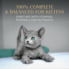 Sheba Perfect Portions Kitten Pate Wet Cat Food served for a kitten's mealtime.
