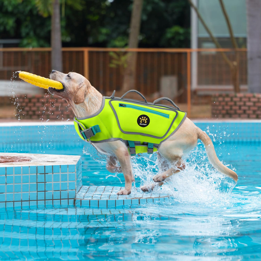 Sheripet dog life jacket used for boating.