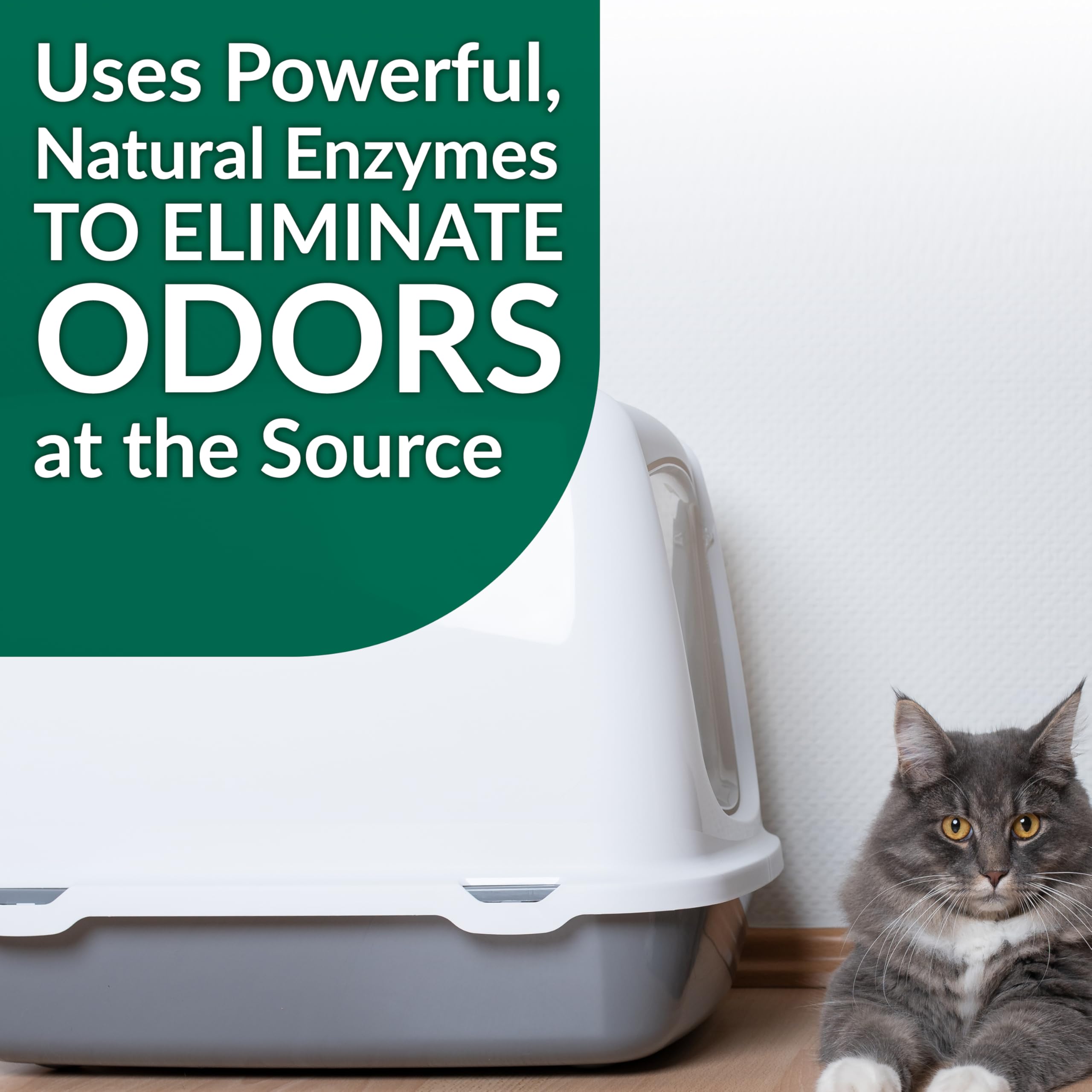 Simple Green Cat Stain & Odor Remover shown being used on carpet.