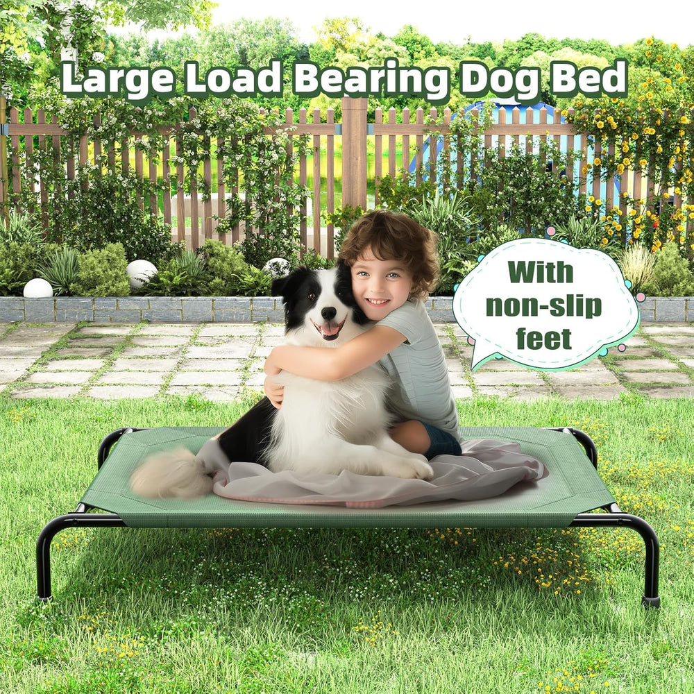 Simple Trending elevated dog bed shown in use by a resting dog.