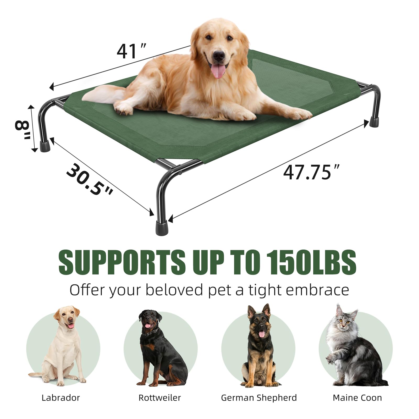 Simple Trending elevated dog bed shown with its product dimensions.