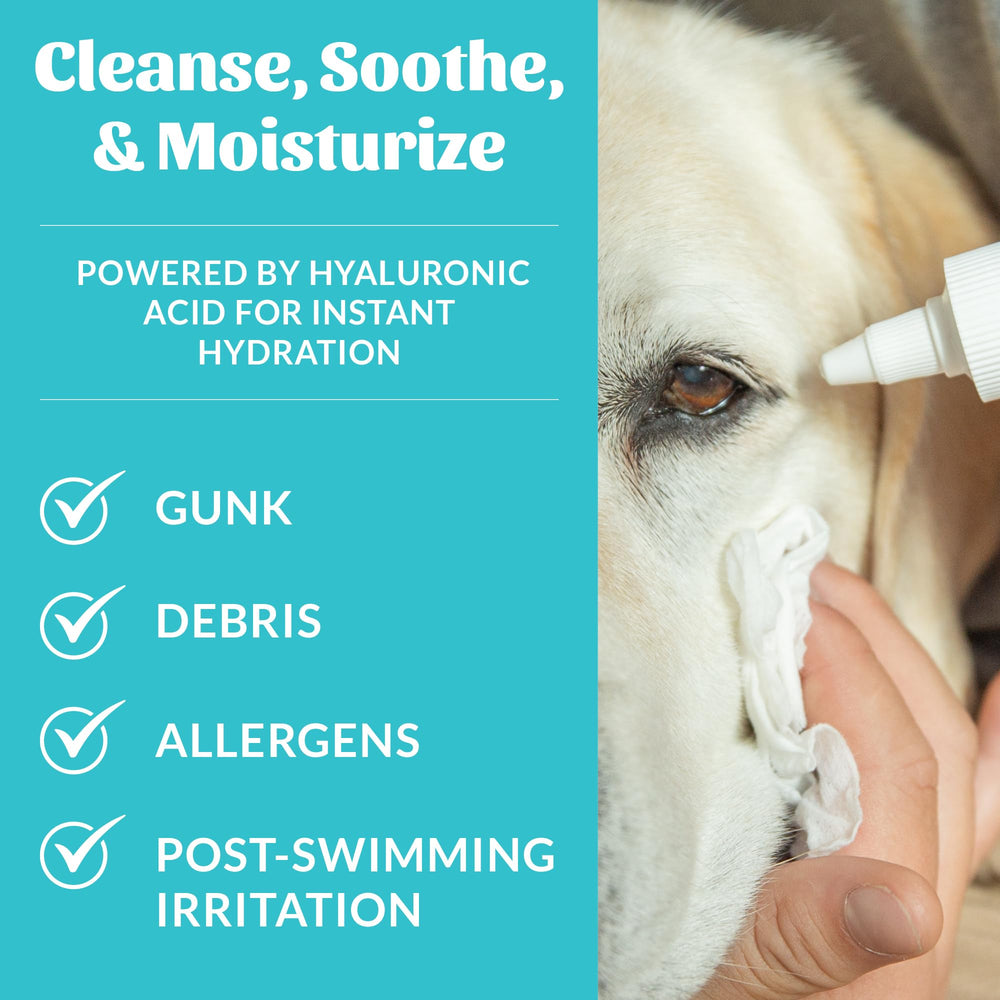 SKOUT'S HONOR HydroClear Eye Wash shown during eye care for a dog.