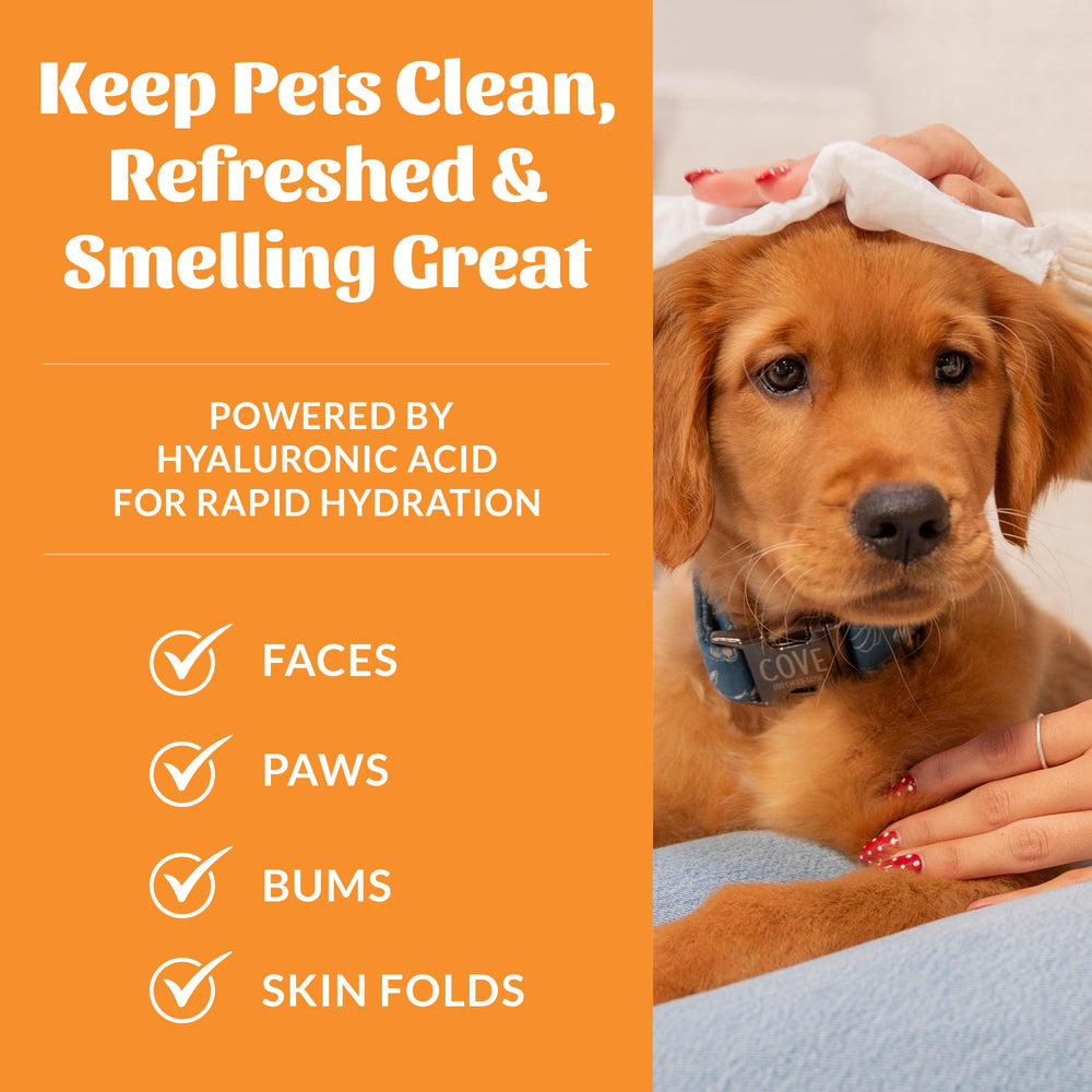 SKOUT'S HONOR HydroClear Grooming Wipes shown being used for face grooming.