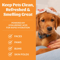 SKOUT'S HONOR HydroClear Grooming Wipes shown being used for face grooming.