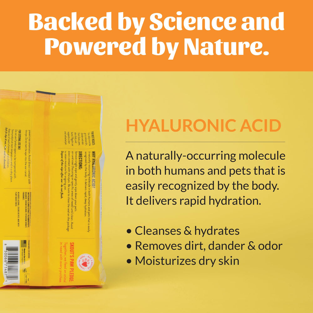 SKOUT'S HONOR HydroClear Grooming Wipes shown being used to clean a paw.