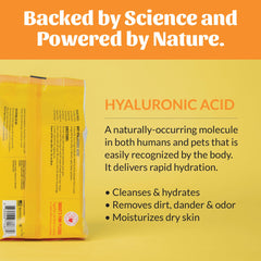 SKOUT'S HONOR HydroClear Grooming Wipes shown being used to clean a paw.