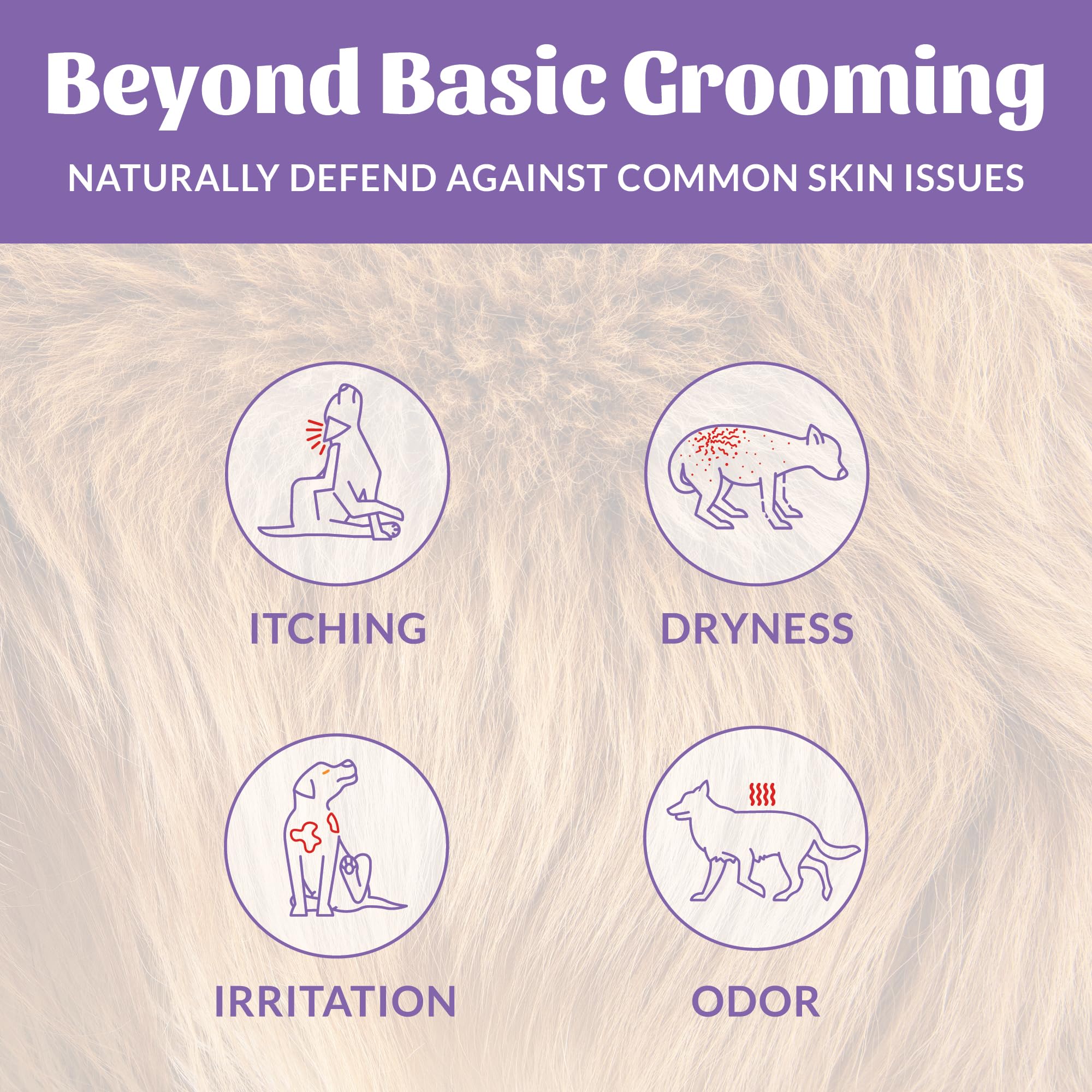 SKOUT'S HONOR Probiotic Dog Deodorizing Spray nozzle shown in detail.