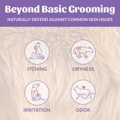 SKOUT'S HONOR Probiotic Dog Deodorizing Spray nozzle shown in detail.