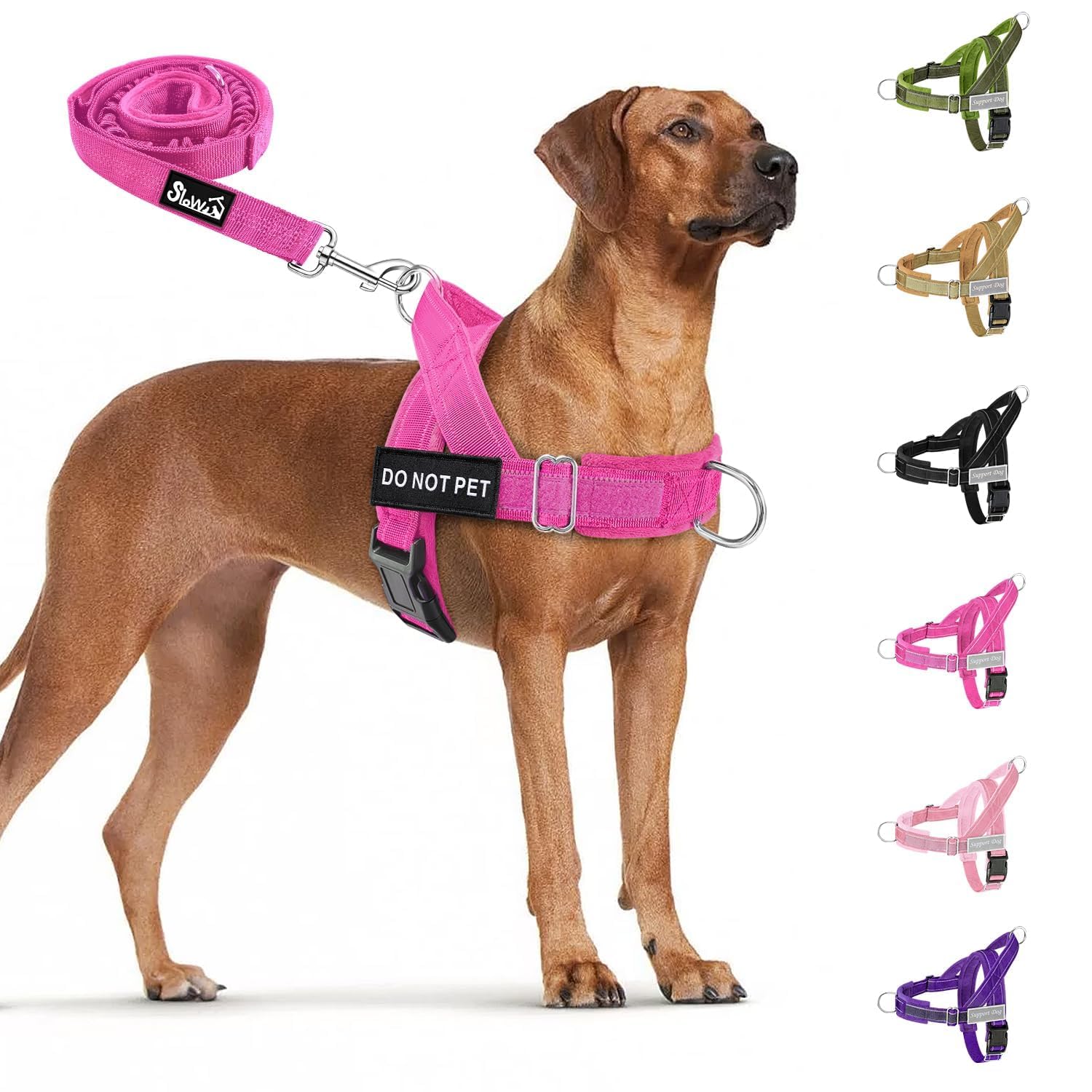 SlowTon dog harness and leash set shown from the front.