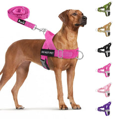 SlowTon dog harness and leash set shown from the front.