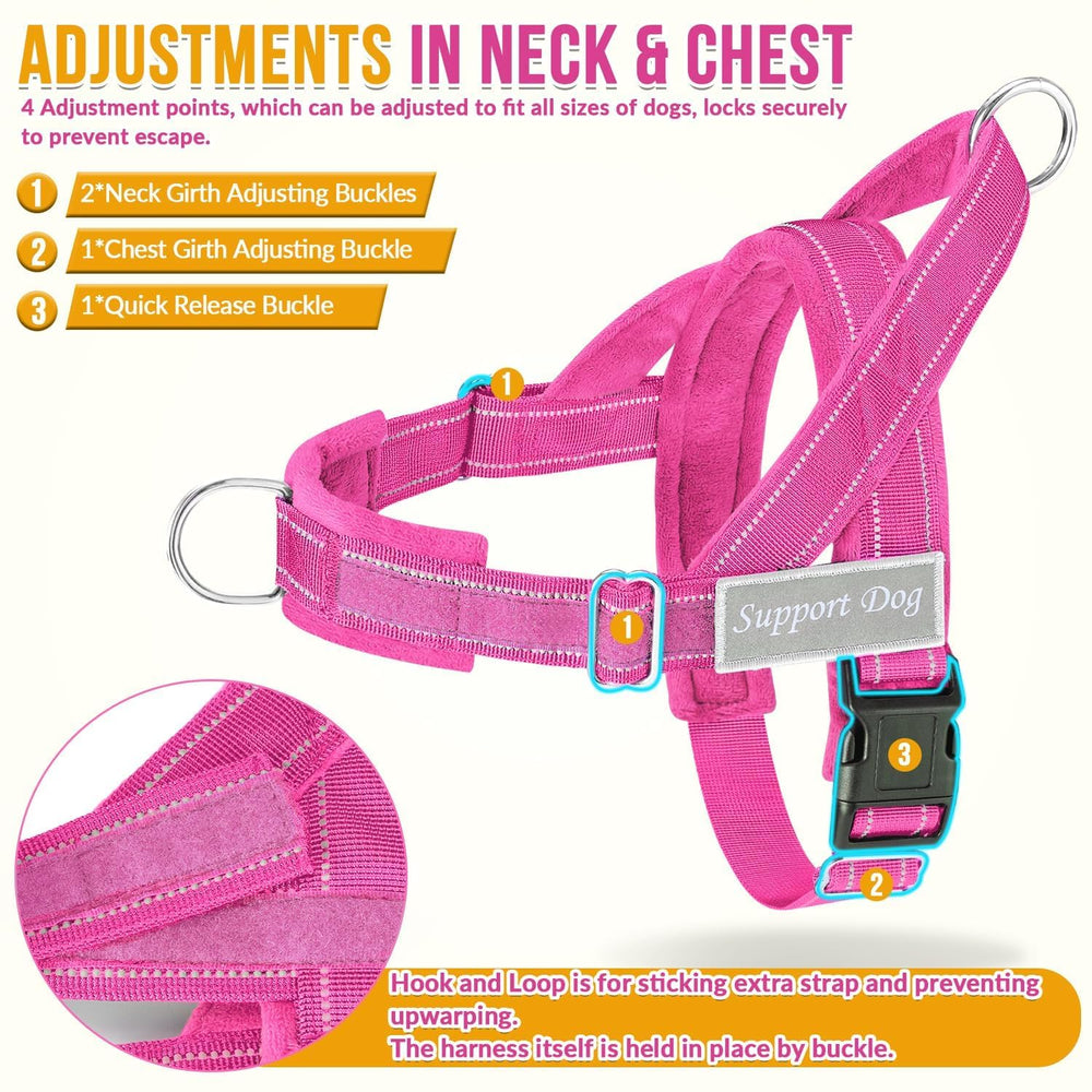SlowTon dog leash showing the elastic section that absorbs pulling.