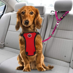 SlowTon Dog Seat Belt connected to a dog harness.