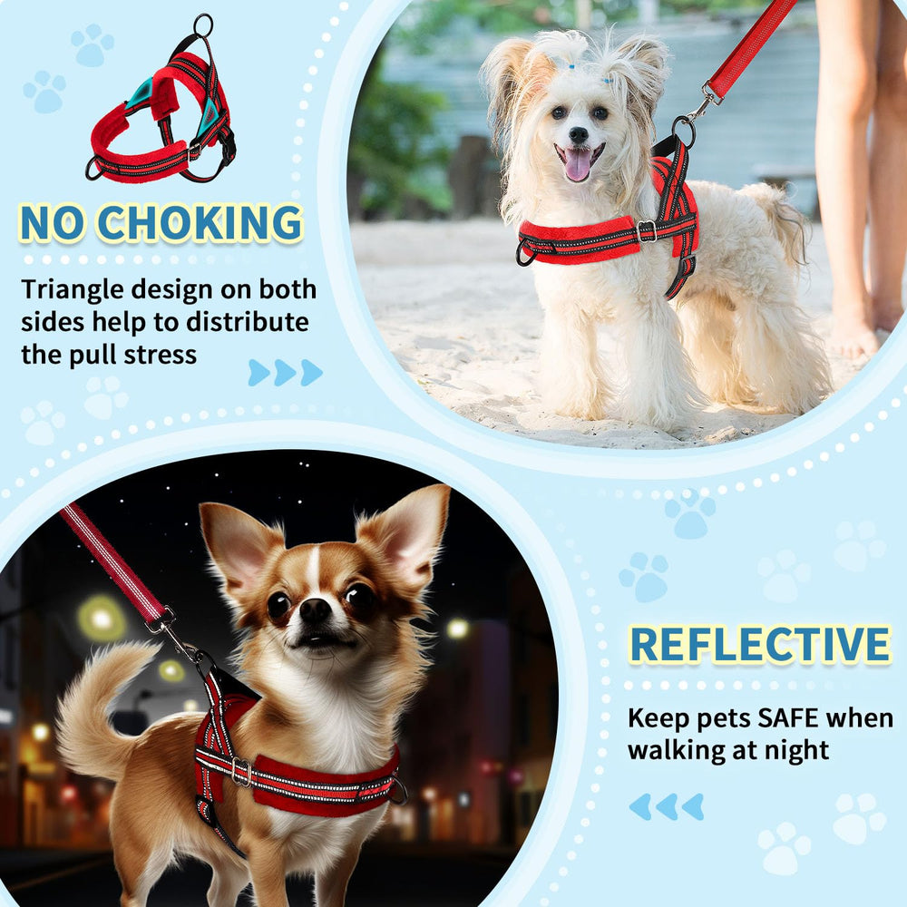 SlowTon small dog harness shown with its back O-ring attachment.