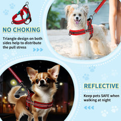 SlowTon small dog harness shown with its back O-ring attachment.