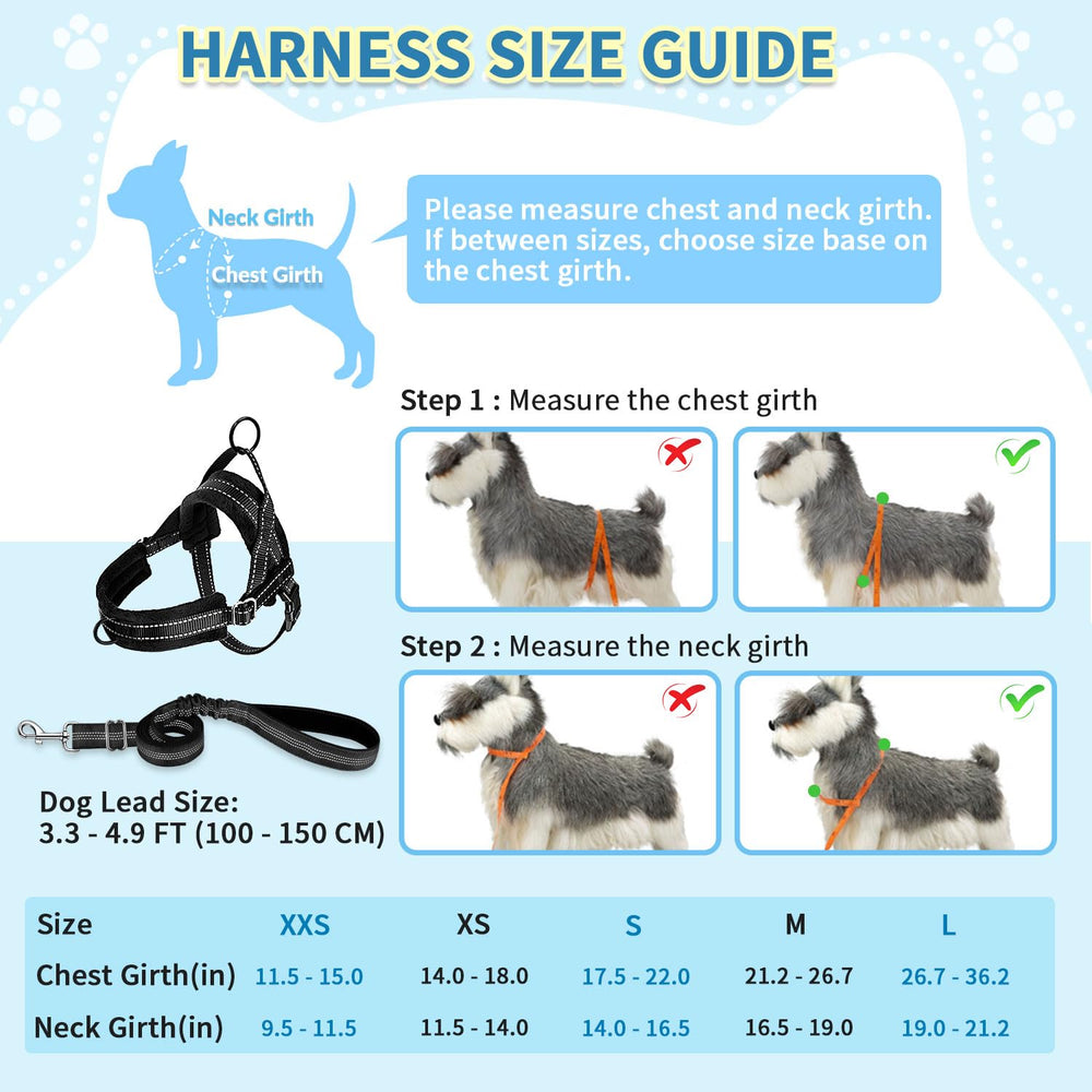 SlowTon small dog harness detail showing the back leash attachment ring.