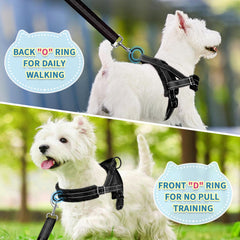 SlowTon small dog harness detail showing the front leash attachment ring.