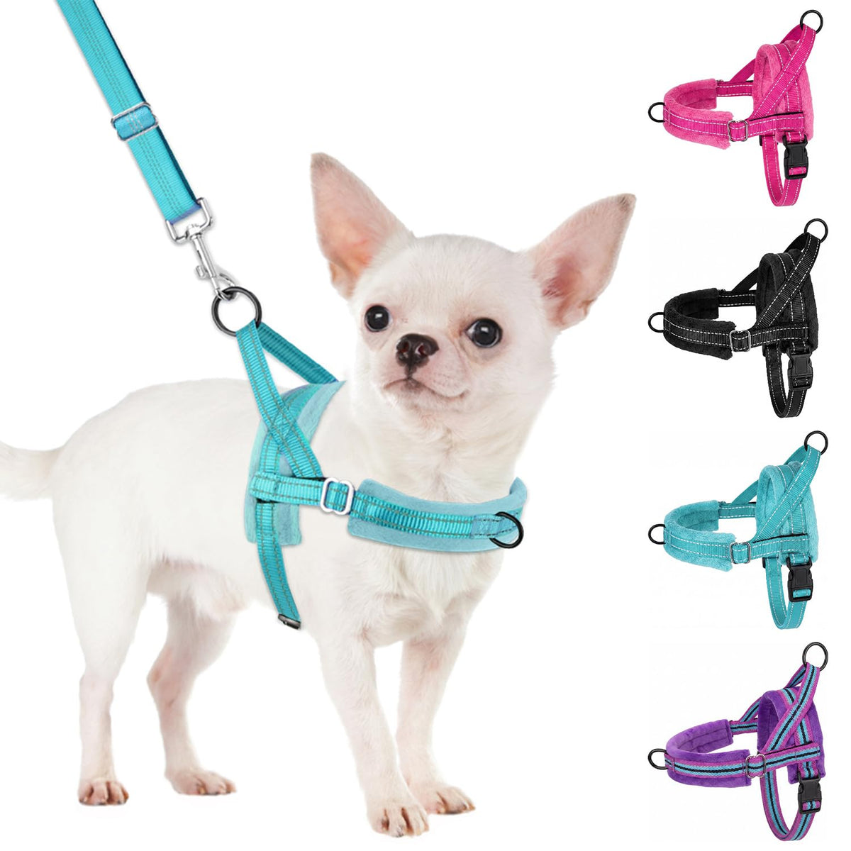 SlowTon small dog harness and leash set shown together from the front.