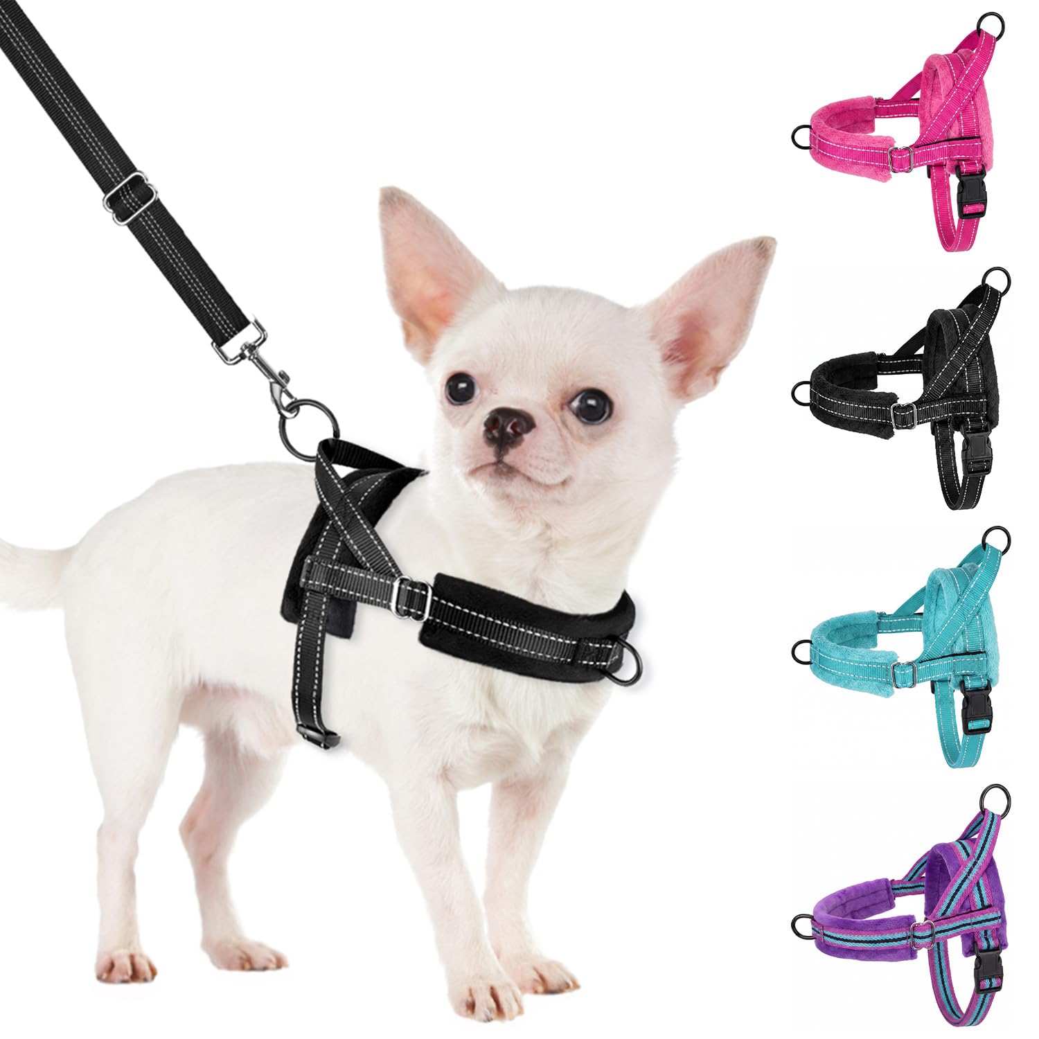 SlowTon small dog harness and leash set shown from the front.