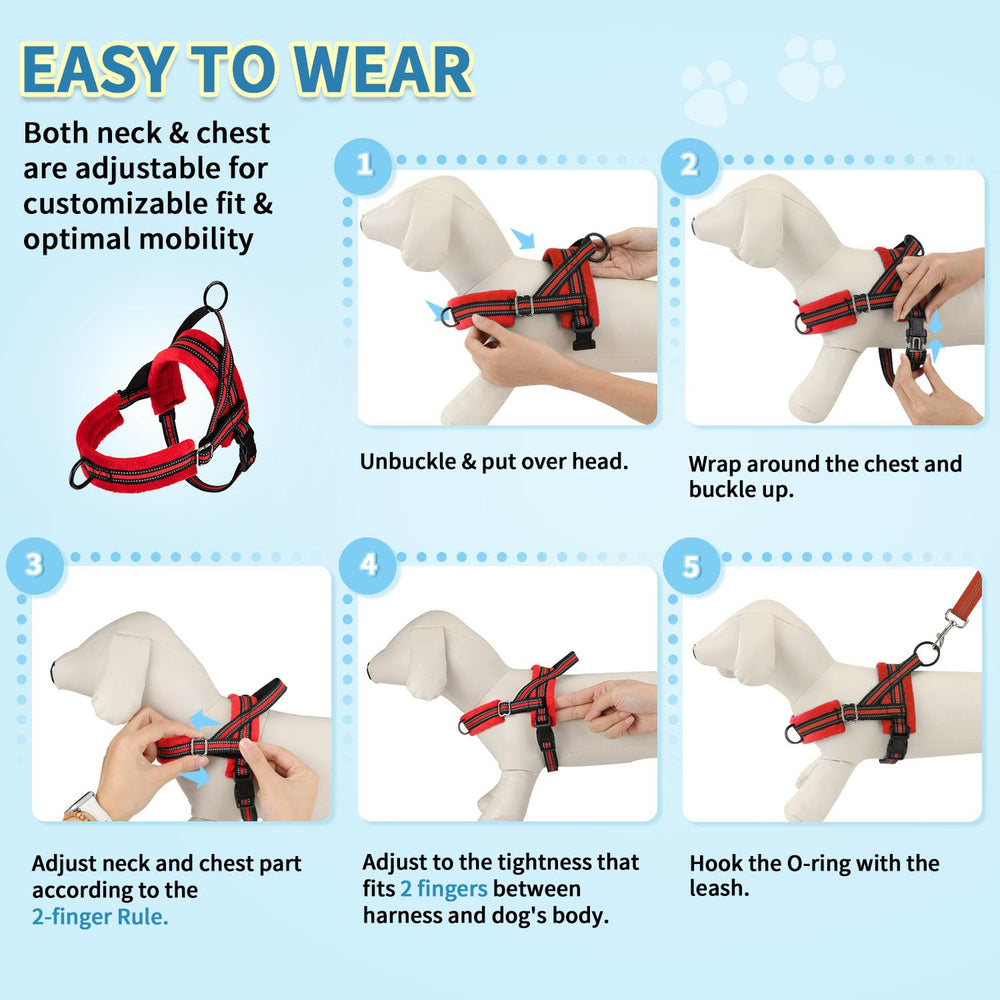 SlowTon small dog harness and leash set fitted on a small pet.