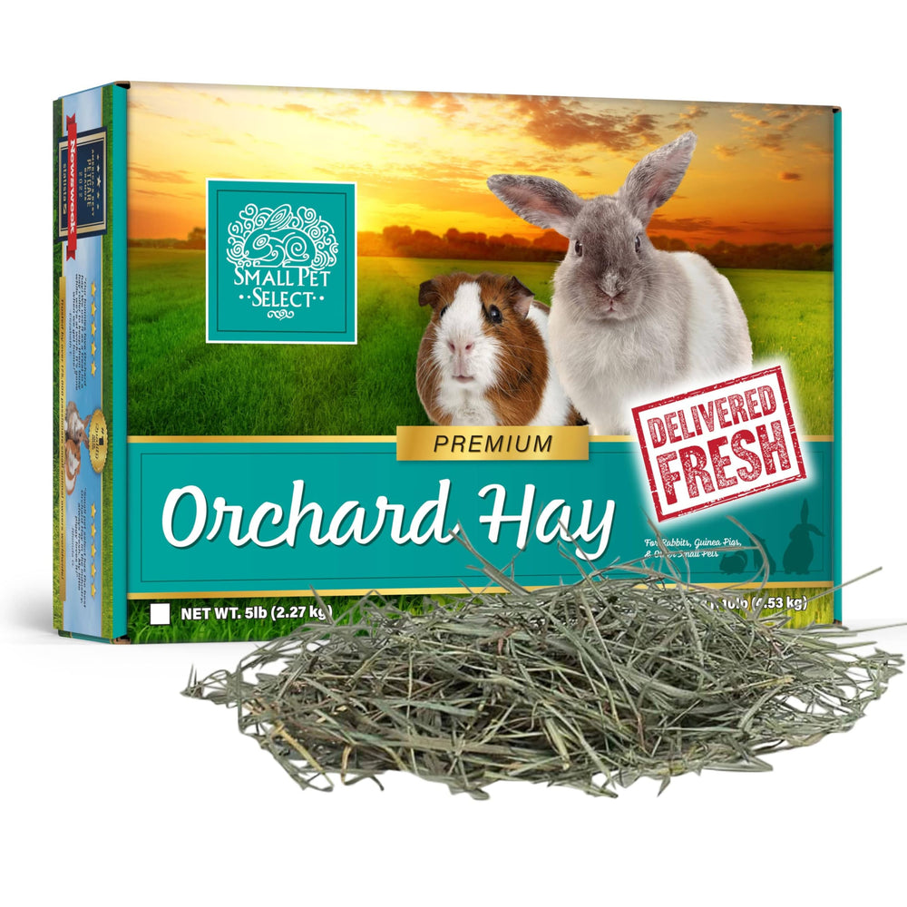 Small Pet Select Orchard Grass Hay shown with its corrugated box packaging.