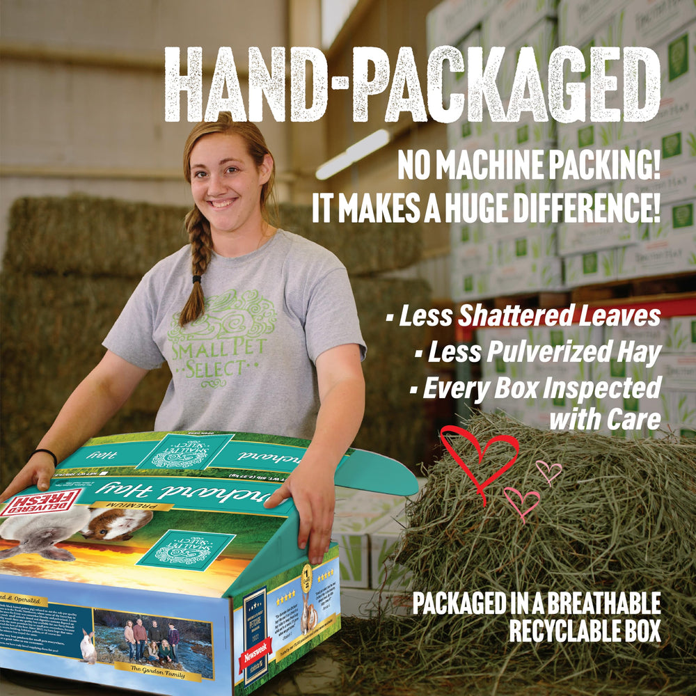 Small Pet Select Orchard Grass Hay shown with its storage box open.