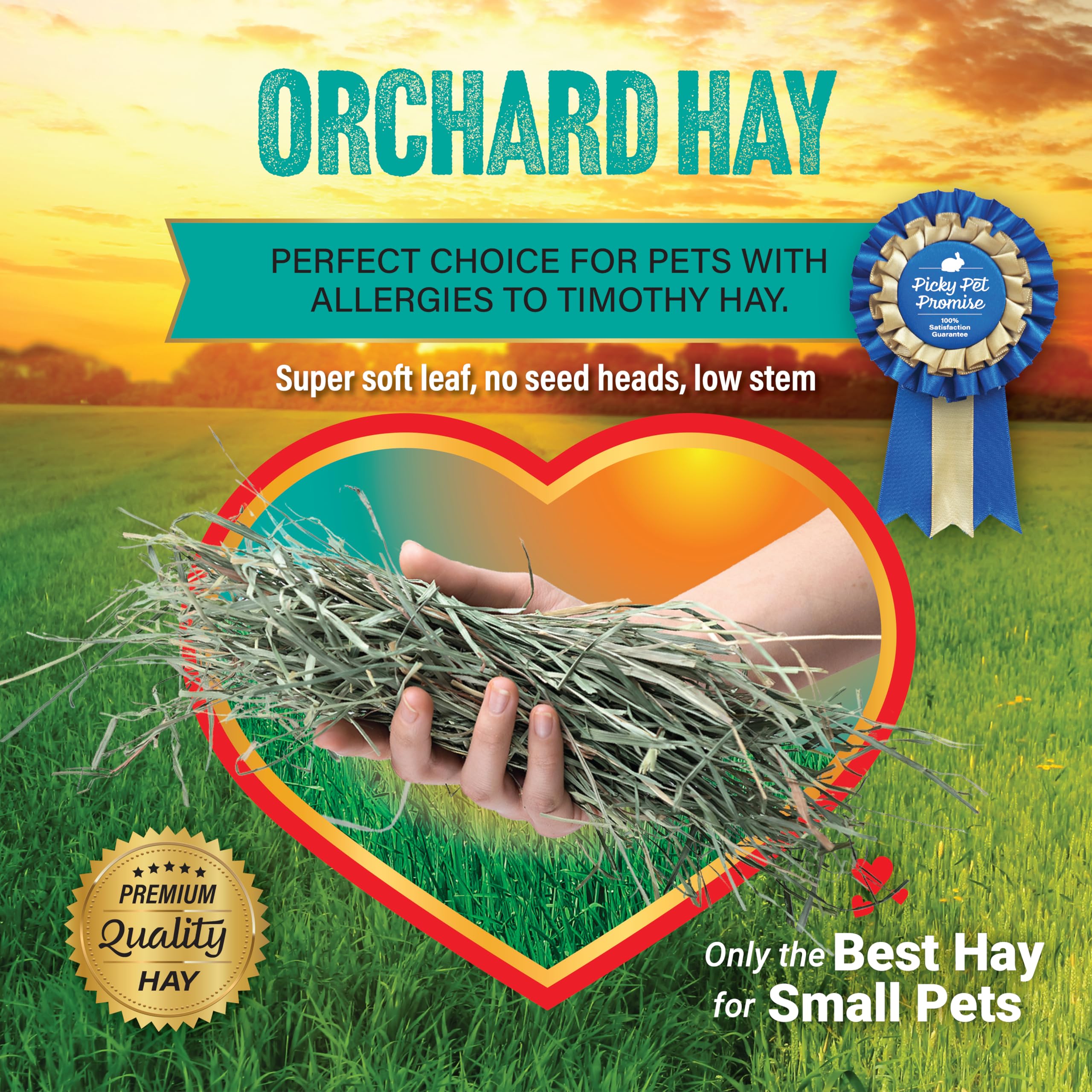 Small Pet Select Orchard Grass Hay package shown with its product label.