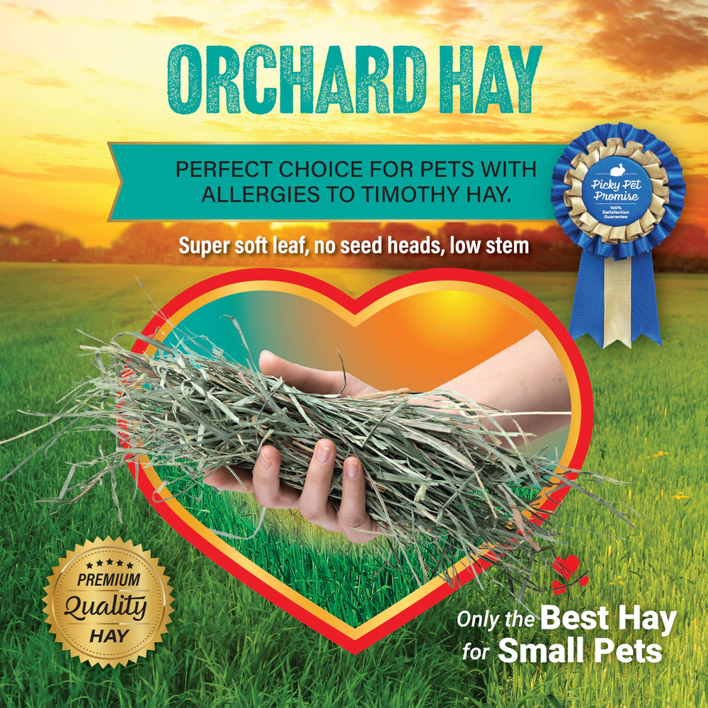 Small Pet Select Orchard Grass Hay package shown with its product label.