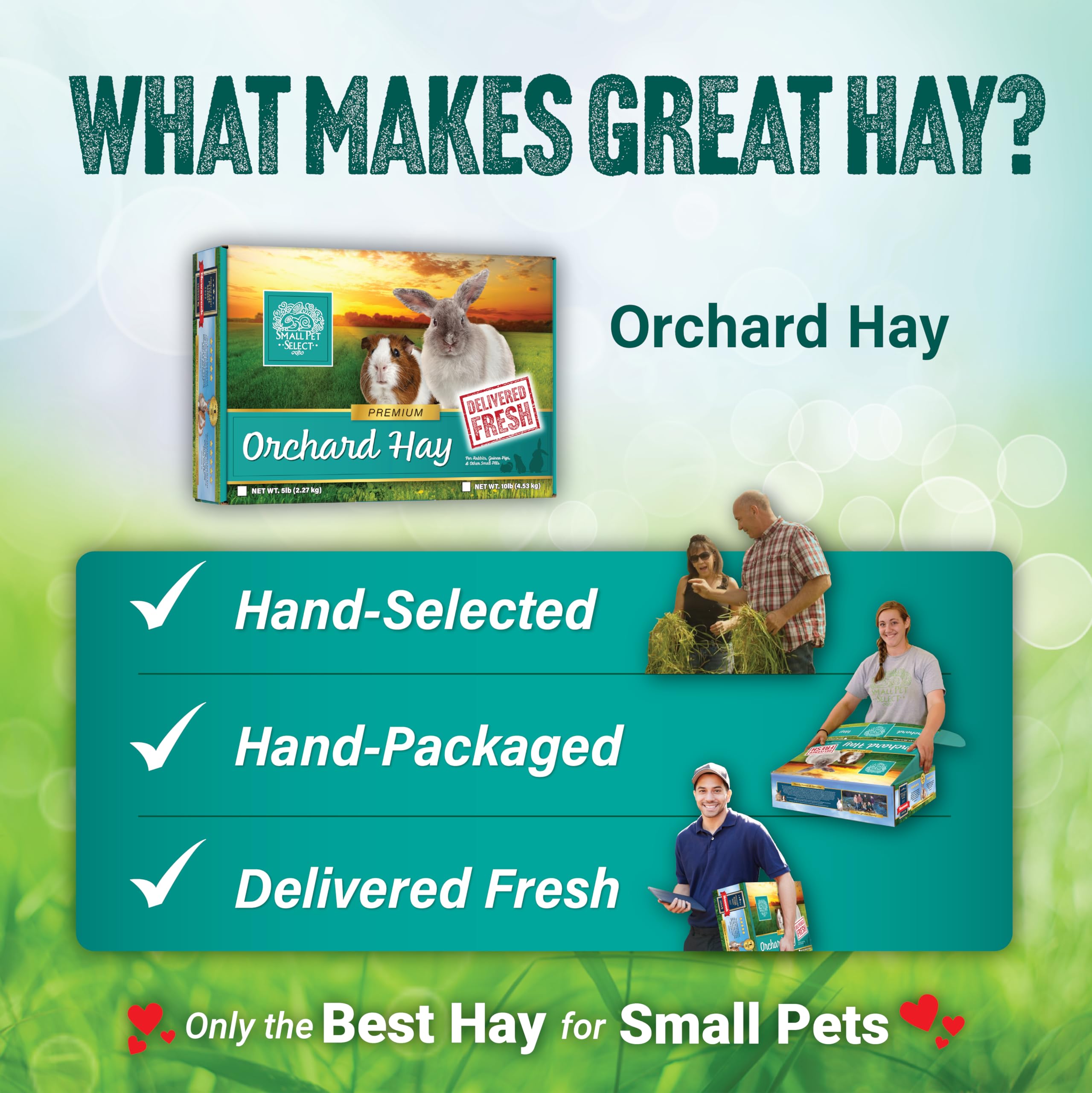 Small Pet Select Orchard Grass Hay package shown from a side angle.