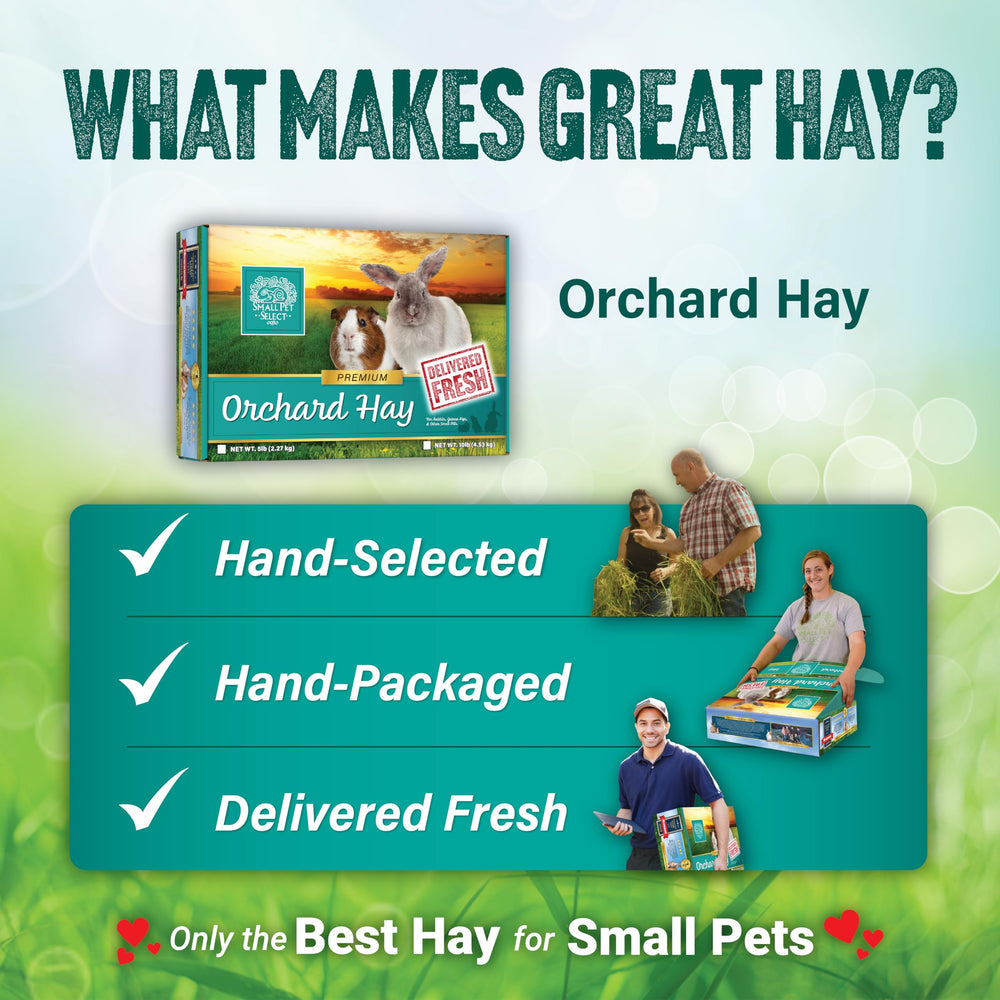 Small Pet Select Orchard Grass Hay package shown from a side angle.
