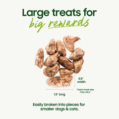 A dog receiving a smallbatch chicken heart treat as a reward