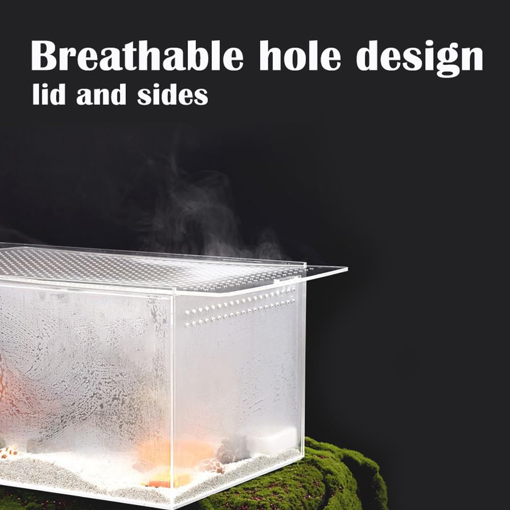 Smartang acrylic terrarium highlighting its transparent viewing panels.