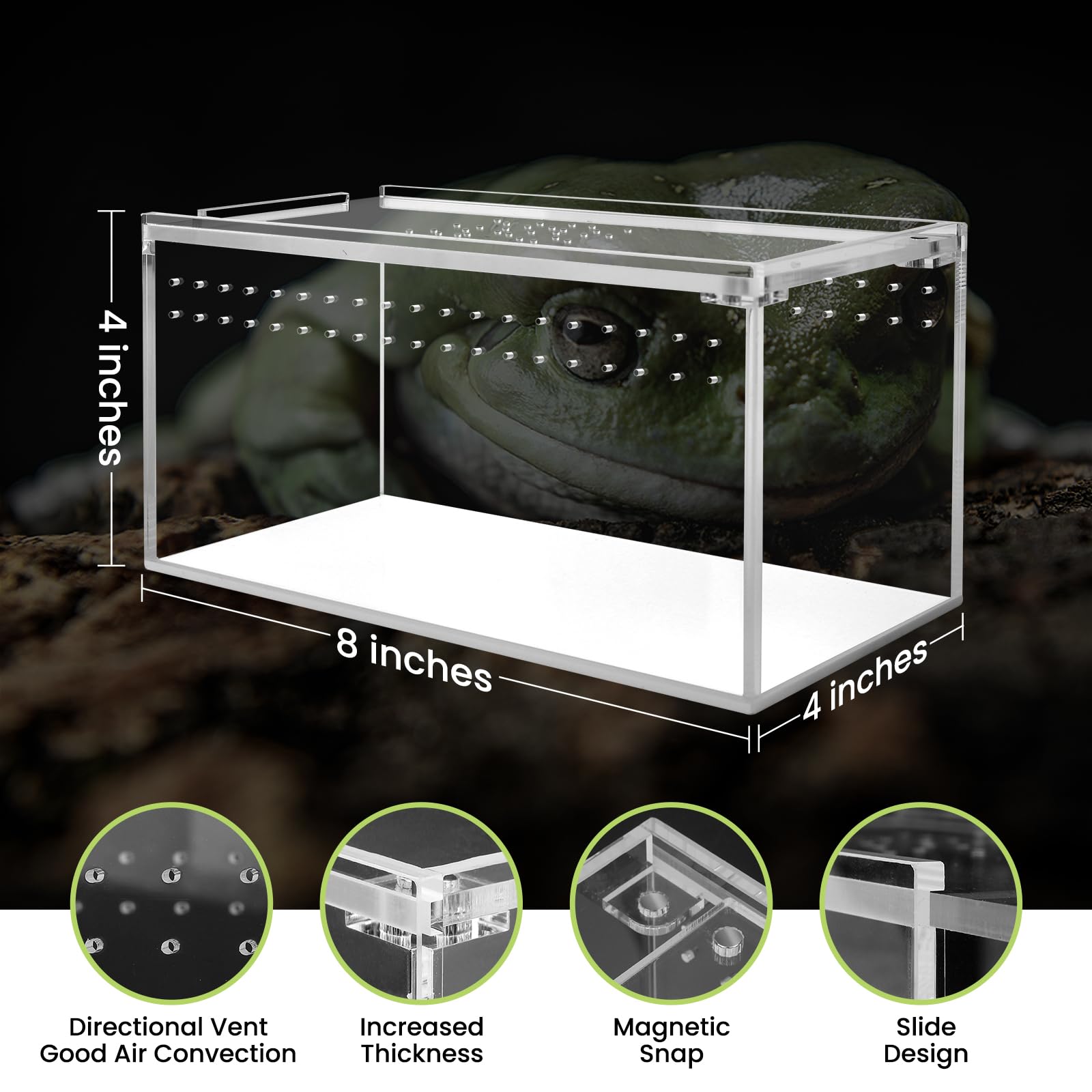 Smartang acrylic terrarium showing its sliding top and magnetic closure.