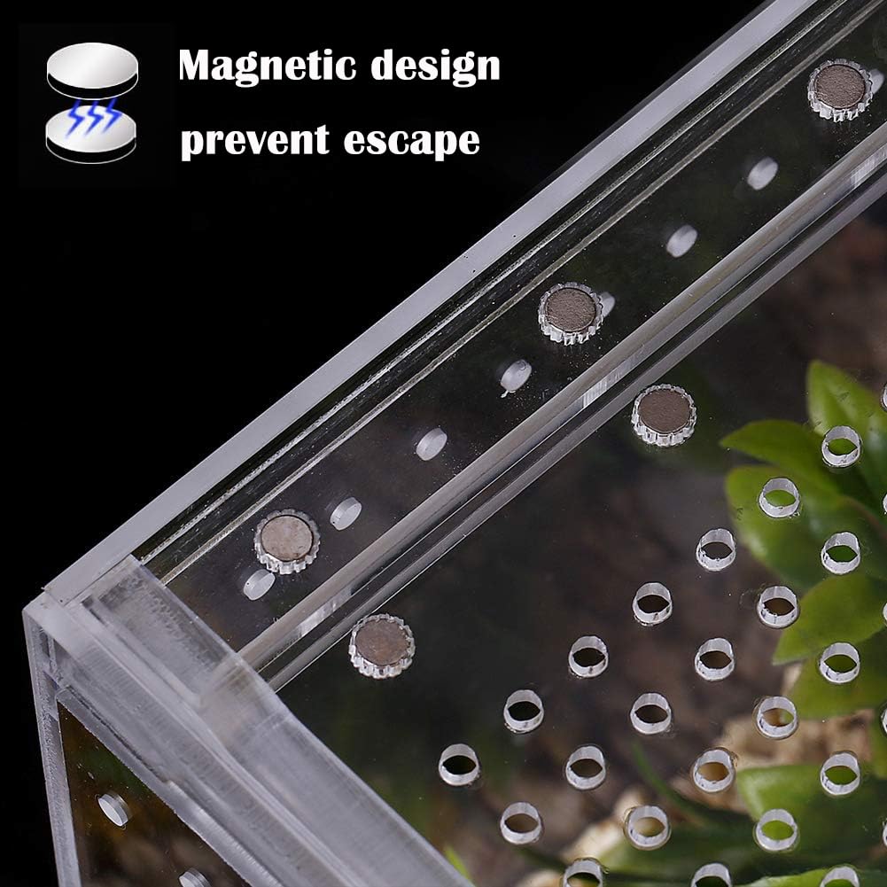 Smartang acrylic terrarium shown from a rear angle.