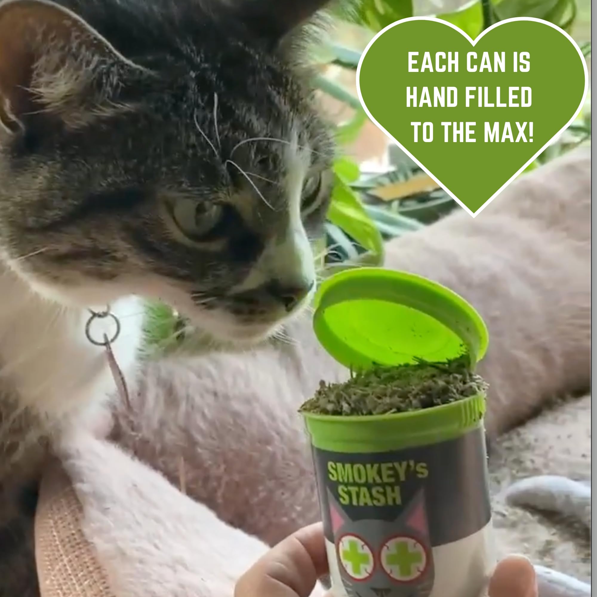 Smokey's Stash dried catnip in its pop-top can.