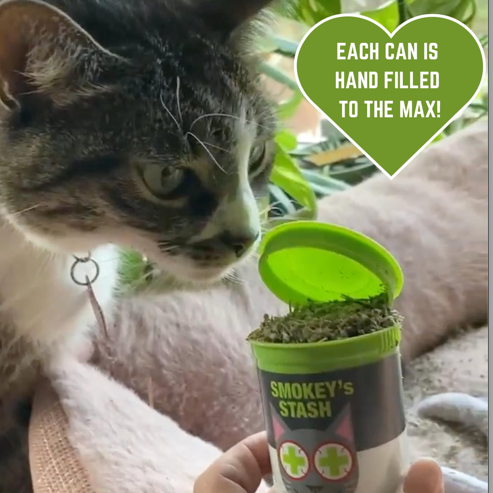 Smokey's Stash dried catnip in its pop-top can.