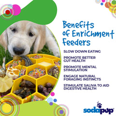 SodaPup Honeycomb Enrichment Bowl serving wet and dry dog food together.