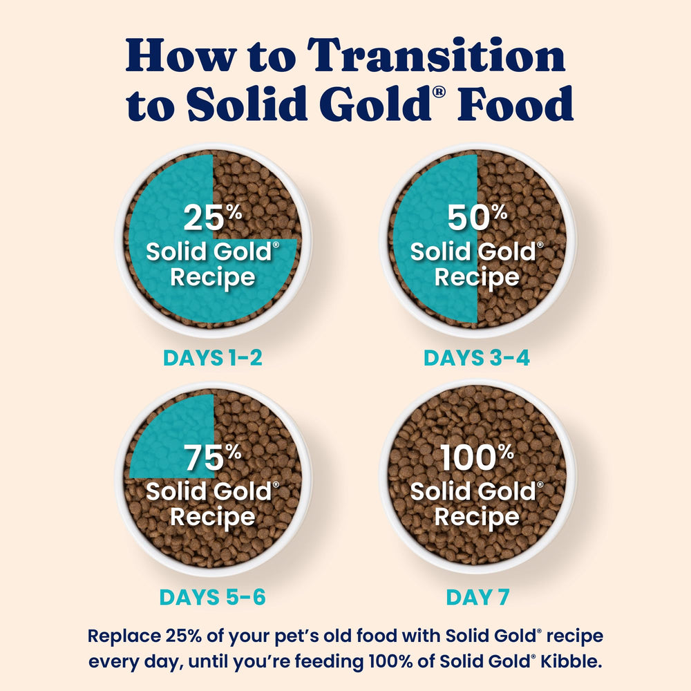Solid Gold Indoor Lamb Dry Cat Food with pumpkin, cranberry, and blueberry ingredients.