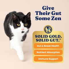 Solid Gold Indoor Lamb Dry Cat Food label showing its whole-grain ingredients.