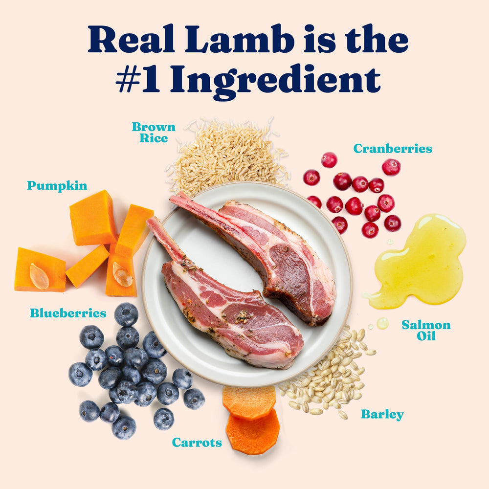 Solid Gold Indoor Lamb Dry Cat Food shown as a meal for a cat.