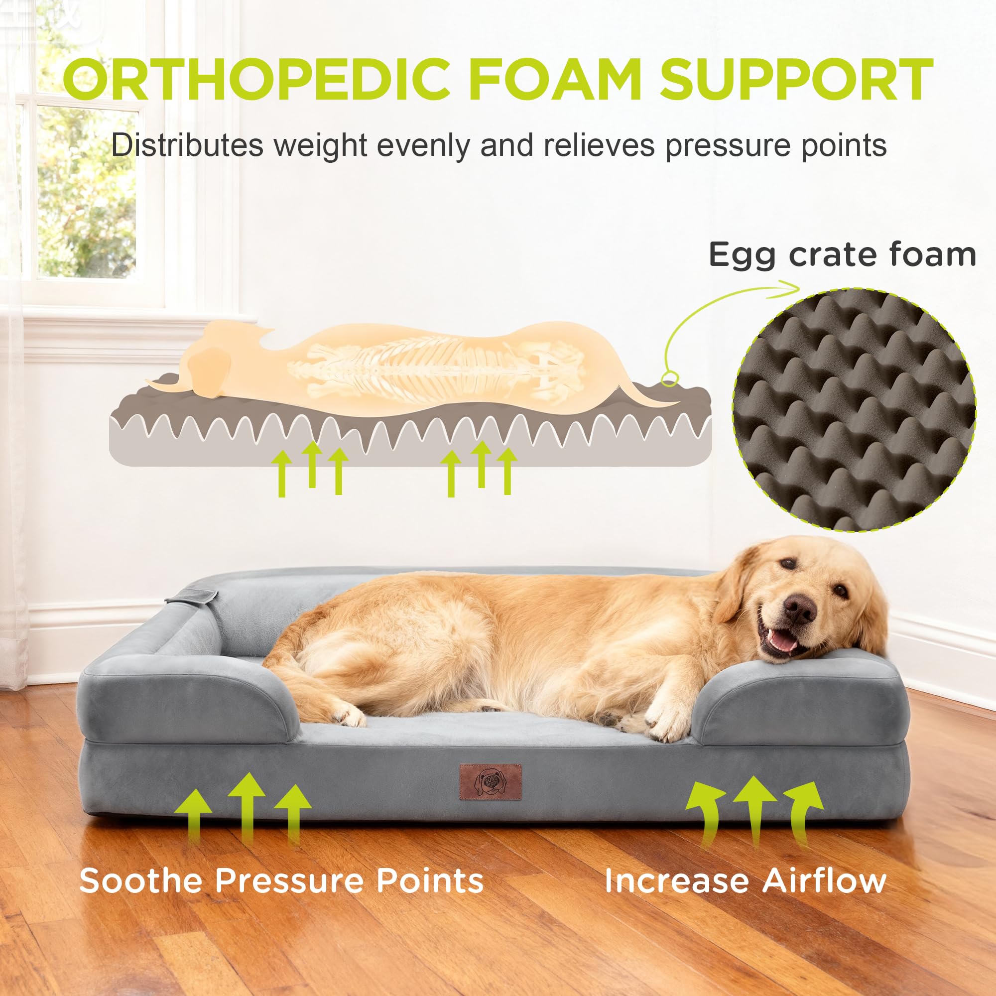 Song Puppy dog bed close-up highlighting the egg crate memory foam interior.