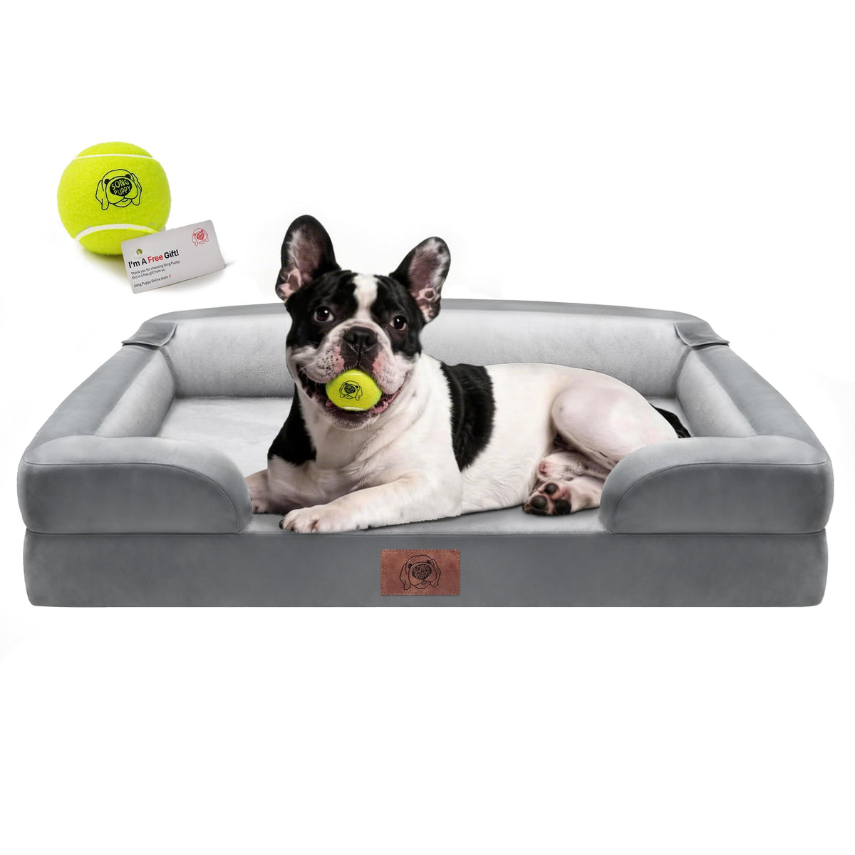 Song Puppy dog bed shown from the front with its cushioned sleeping area and bolsters.