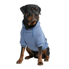 Spark Paws Dog Hoodie shown from the front.