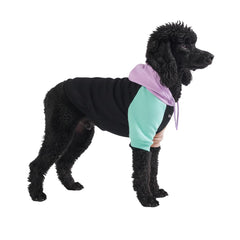 Spark Paws Dog Hoodie shown from the front.
