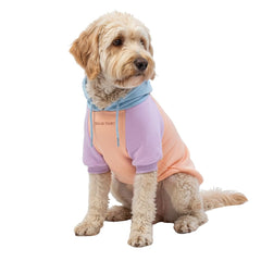 Spark Paws Dog Hoodie shown from the front.
