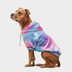 Spark Paws Dog Hoodie shown from the front.
