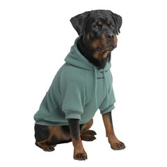 Spark Paws Dog Hoodie shown from the front to display its hood and pull-on design.