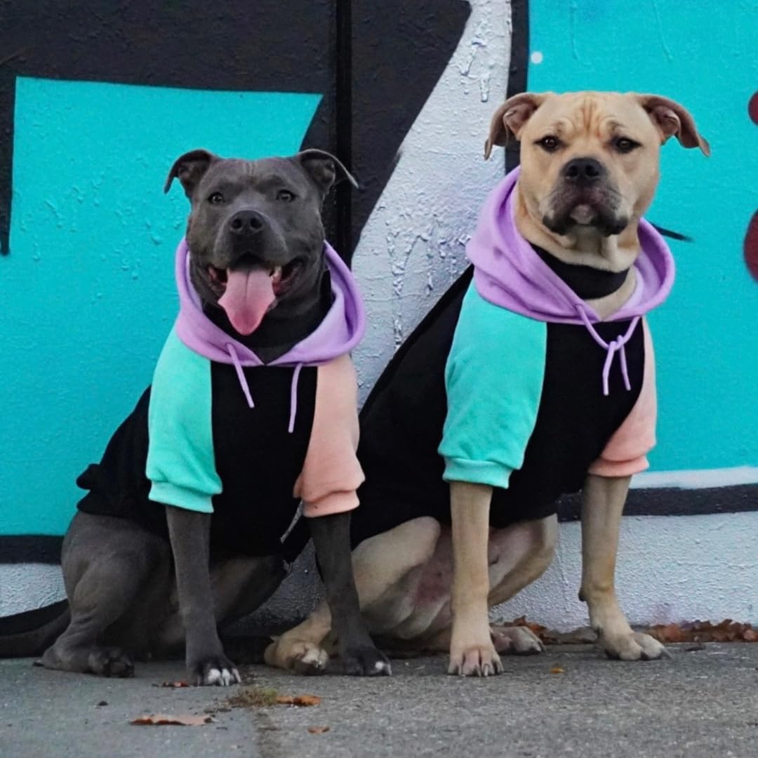 Spark Paws Dog Hoodie leash opening shown for harness access.
