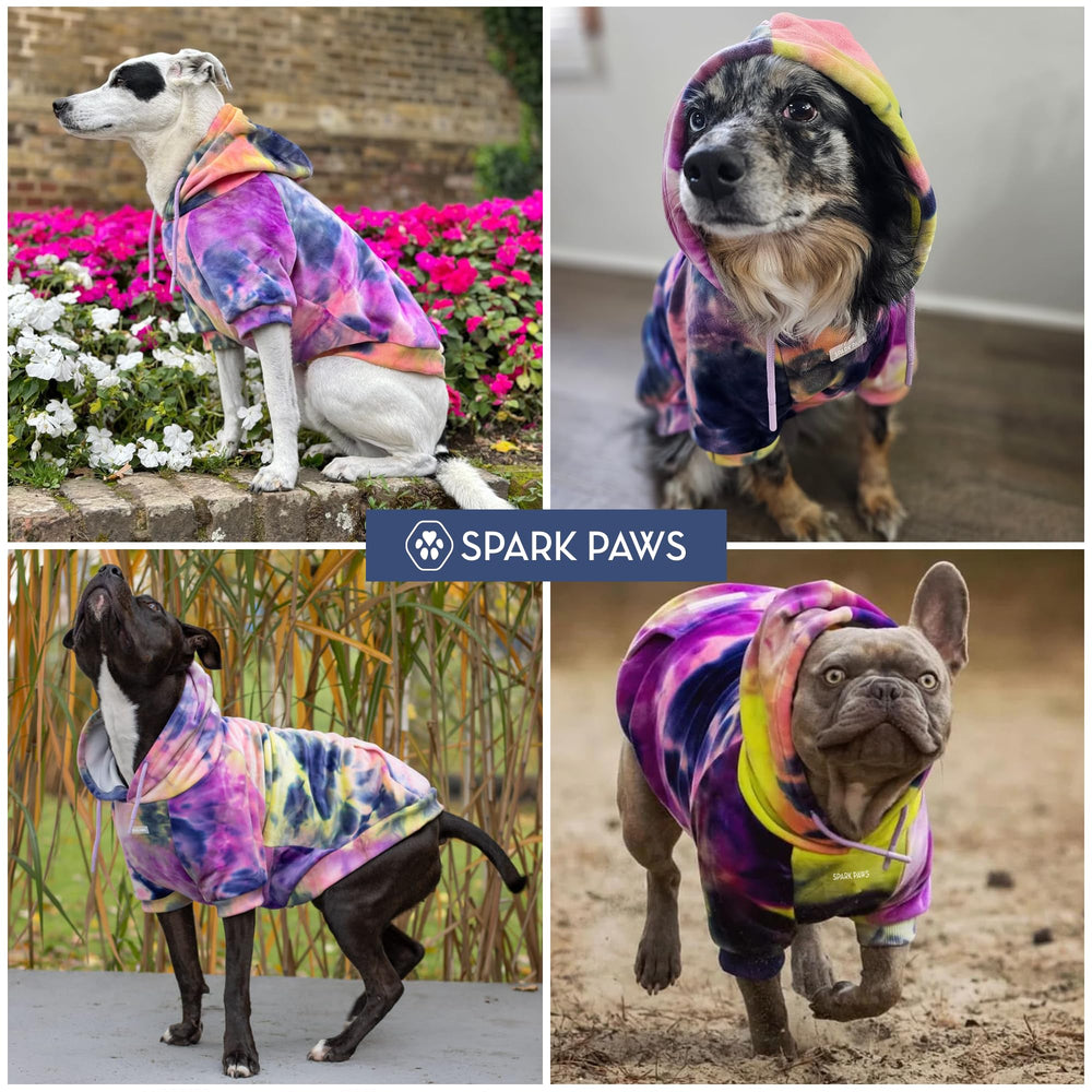 Spark Paws dog hoodie size chart showing the available size range.